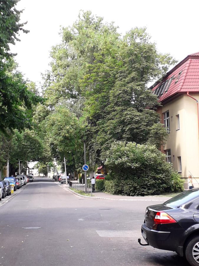 Kodaly Apartman Eger Buitenkant foto